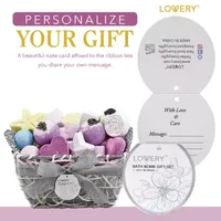 Lovery Variety Bath Bombs Basket - 17pc Home Bath Gift Set