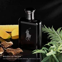 Ralph Lauren Polo Black Eau De Toilette, 4.2 Oz