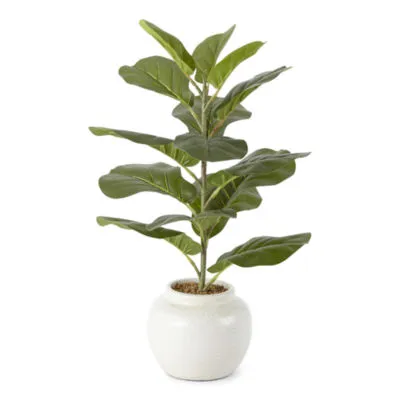 Linden Street Ceramic Fiddle Leaf Fig