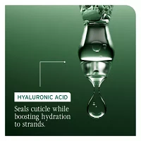 Biolage Hydra Source Shampoo 33.8 oz.