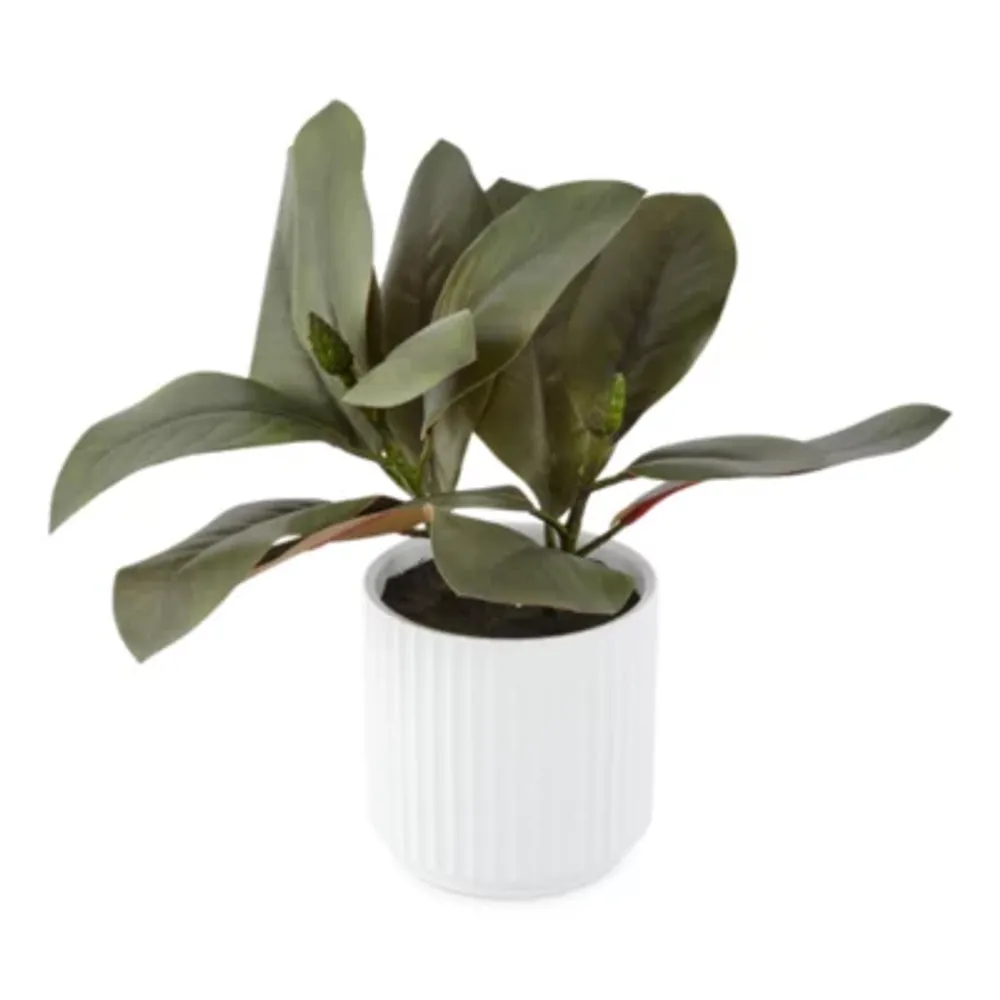 Linden Street 16" Rubber Artificial Plant