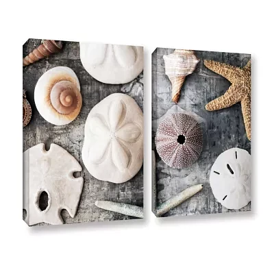 Brushstone Treasures From The Sea 2-pc. Gallery Wrapped Canvas Wall Art