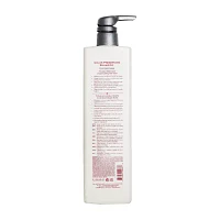L'ANZA Healing Colorcare Color Preserving Shampoo 33.8 oz.