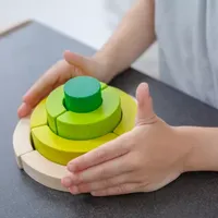 Curve Blocks Preschool Toy