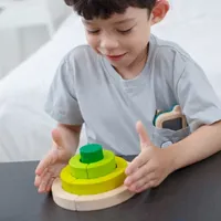 Curve Blocks Preschool Toy Brain Game