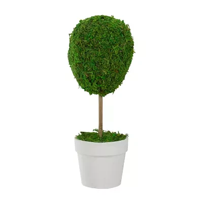 Northlight "14"" Moss Ball Potted Tree" Artificial Plant