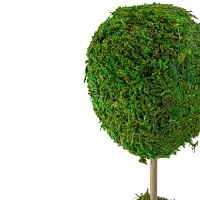 Northlight 14" Moss Ball Potted Tree Artificial Plant