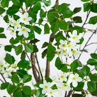 Nearly Natural 6' Dogwood With Real Touch Leaves Artificial Plant