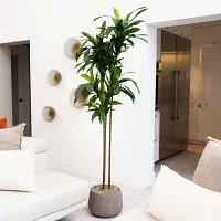 Nearly Natural 7' Dracaena With Real Touch Leaves Artificial Plant