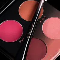 Shades By Shan The Blush Palette