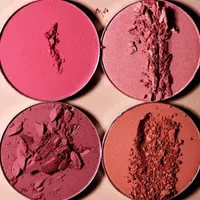 Shades By Shan The Blush Palette