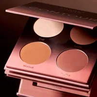 Shades By Shan The Contour Palette