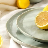 Stone + Lain Mirella 4-pc. Stoneware Dinner Plate
