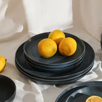 Stone + Lain Elio 4-pc. Stoneware Dinner Plate
