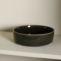 Stone + Lain Eden 4-pc. Stoneware Pasta Bowl