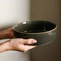 Stone + Lain Eden 4-pc. Stoneware Pasta Bowl