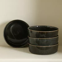 Stone + Lain Eden 4-pc. Stoneware Pasta Bowl