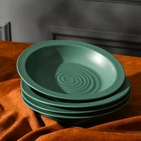 Stone + Lain Orbit 4-pc. Stoneware Pasta Bowl
