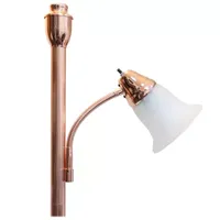 2 Light Floor Lamp with Marbled Glass Shades