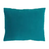 Warner Bros Rectangular Throw Pillow