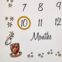 Warner Bros Harry Potter Baby Milestone Blanket