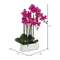 Vickerman "21"" Purple Orchid" Floral Arrangement