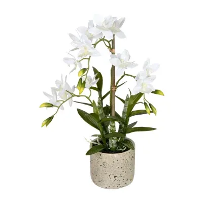 Vickerman 19" Cycnoches Orchid In Pot Floral Arrangement