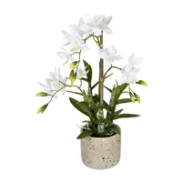 Vickerman 19" Cycnoches Orchid In Pot Floral Arrangement