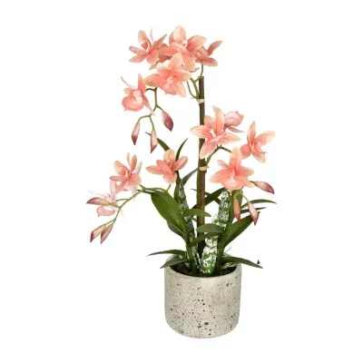 Vickerman 19" Potted Cycnoches Floral Arrangement