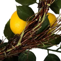 Vickerman 24" Salal Leaf Lemon Wreath