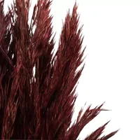 Vickerman 36" Plume Reed 15-pc. Vase Filler