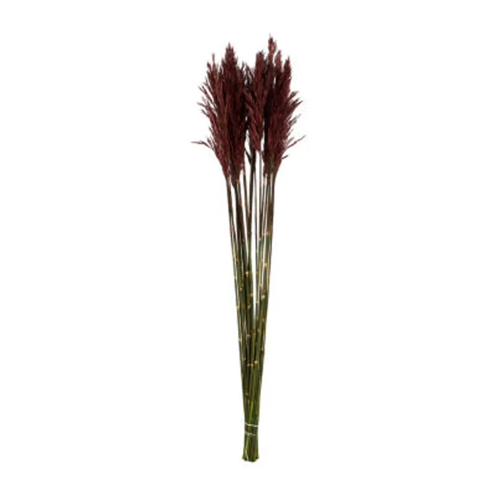 Vickerman 36" Plume Reed 15-pc. Vase Filler