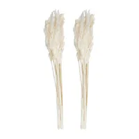 Vickerman 36" Plume Reed 15-pc. Vase Filler