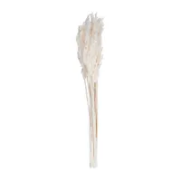 Vickerman 36" Plume Reed 15-pc. Vase Filler