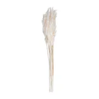 Vickerman 36" Plume Reed 15-pc. Vase Filler