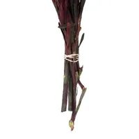 Vickerman 8-20" Merlot Plumosum 8-pc. Vase Filler