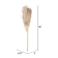 Vickerman 46" Natural Pampas Grass 6-pc. Vase Filler