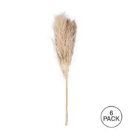 Vickerman 46" Natural Pampas Grass 6-pc. Vase Filler