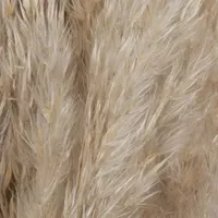 Vickerman 46" Natural Pampas Grass 6-pc. Vase Filler