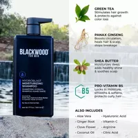 Blackwood For Men Hydroblast Moisturizing Shampoo