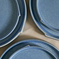 Stone + Lain Bao 4-pc. Stoneware Salad Plate