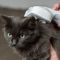 Ewbank® Pet Hair Grooming Cannister Vacuum