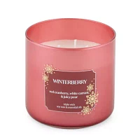 Distant Lands 14 Oz 3 Wick Winterberry Solid Scented Jar Candle