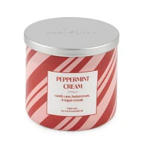 Distant Lands 14 Oz 3 Wick Peppermint Cream Scented Jar Candle