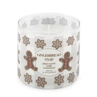 Distant Lands 14 Oz 3 Wick Gingerbread Snap Scented Jar Candle