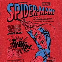 Little & Big Boys Crew Neck Short Sleeve Spiderman Graphic T-Shirt