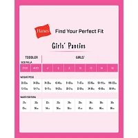 Hanes 4 Pack Period + Leak Resistant Multi-Pack Hipster Panty Gucprd
