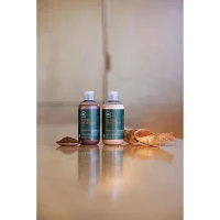 Paul Mitchell Tea Tree Special Color Shampoo