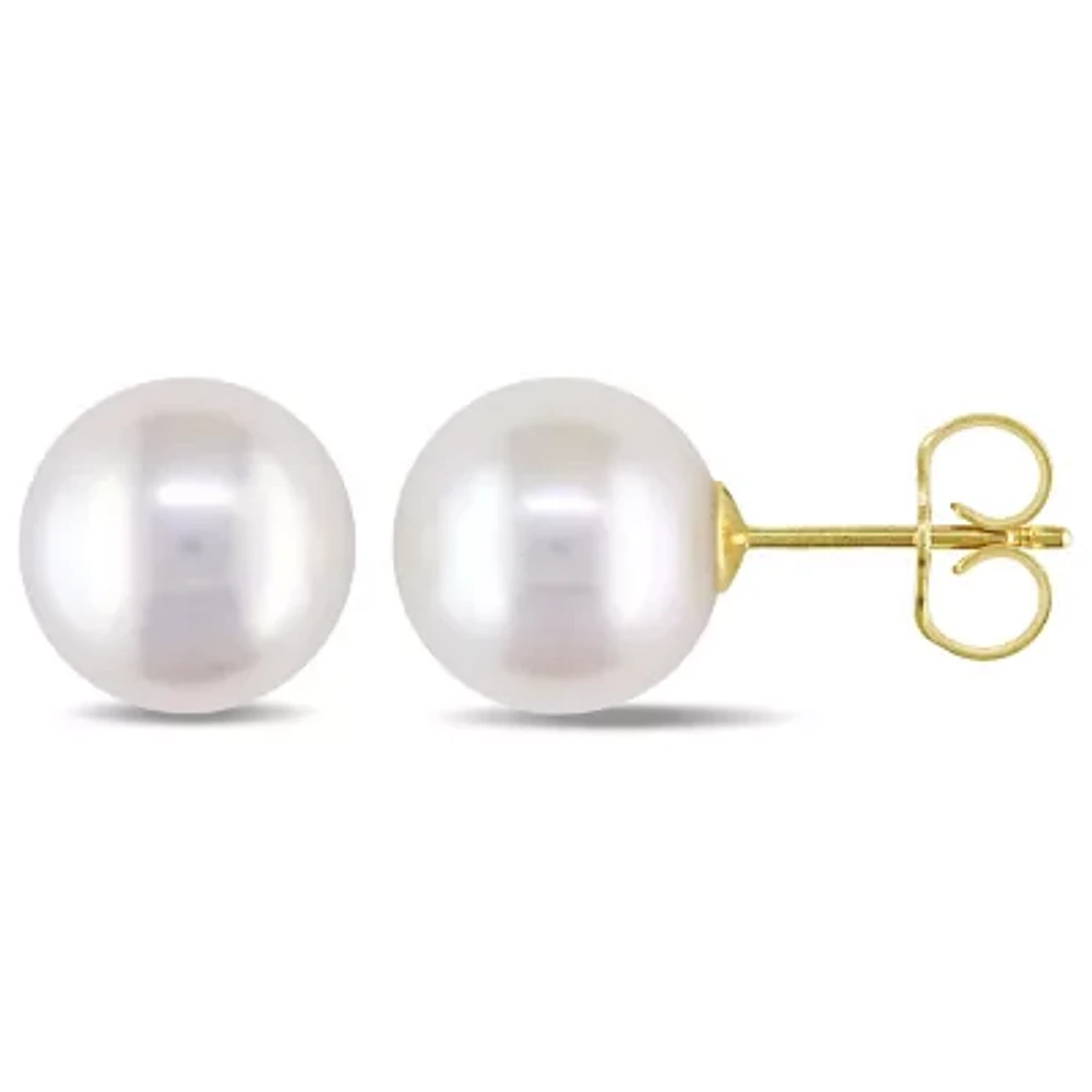 White Cultured Freshwater Pearl 14K Yellow Gold Stud Earrings 