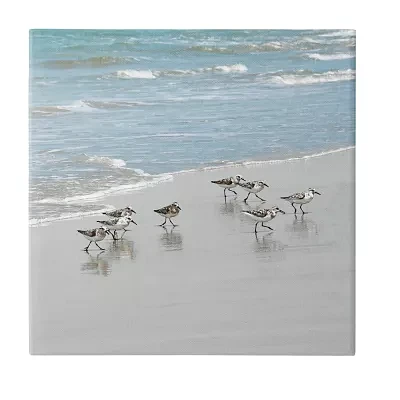 Stupell Industries Sandpipers Flock Sandy Beach Shore Canvas Art